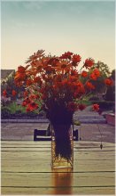 Blumen / ***