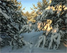 Schnee / ......