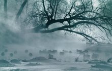 Nebel über dem Fluss / ******