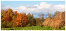 Herbst / ***