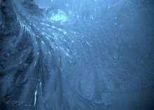 blaue Vogel fiel eine Feder ... / .........