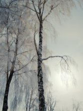 Morgen chill / _____