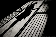 shadow to the past / *****