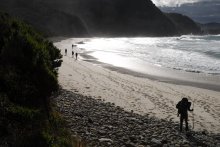 Tasmanian Bushvolkery / ***