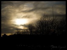 Sky / ***