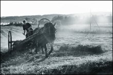 Dawn Aufgaben. / ***