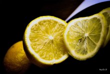 Citrus / ***