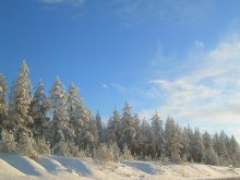 Wintermärchen .. / ***