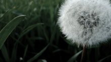 Weich und flauschig. / ......