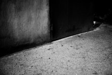 Ohne Titel / *****