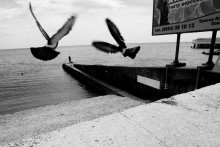 Ohne Titel / *****