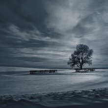 Twilight / *****