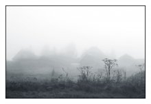 Von morgens bis grasen .... / ***