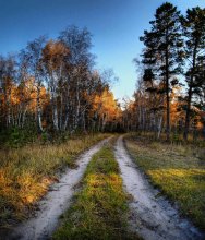 Colours of autumn / *****