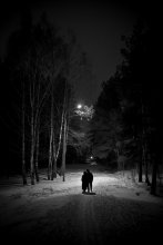 Lebendiger Wald / ***