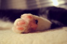 schlief .... / ...............