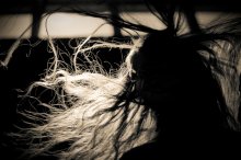 Dreamcatcher / *****