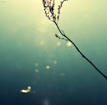 Color Dreams / ***