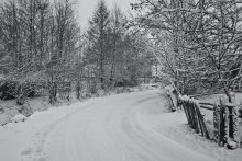 Winter / ***