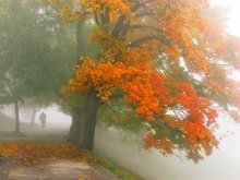Herbst / ***