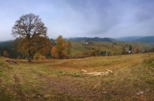 Herbst / ***