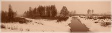 "Dim" Tag im Februar ... / ***