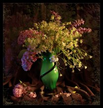 Blumen Helden (von Zärtlichkeit und Stärke) / ***
