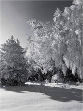 Die Strenge des Winters Hut / ***