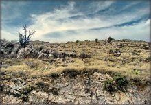 Wandern auf den Bergen Limonow ..2 / Limon Mountain, Arizona