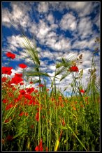 Ein Sommertag ... / ***