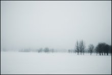 Nebel / -----