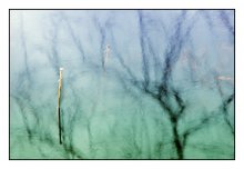 Wasser № 325 / ***