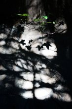 Unter den Schatten / ***