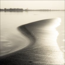 Einzelkämpfer Flügel / ***