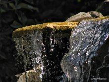 Brunnen / ***