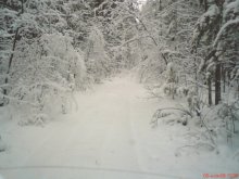 In der Wildnis der Taiga / ***