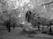 Lonely Angel / ................