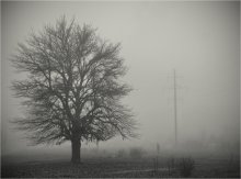 Vertikale / ///////////