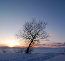 Frühling Sonnenuntergang / ***