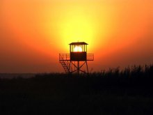 Sun in the cage / early in the morning, the sunrise