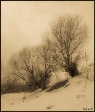 Winter "Stimmung" / ***