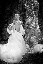 New Dress Queen / ***