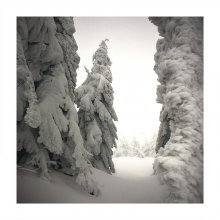 schneebedeckt Schweigen / ***