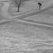 wenn der regen / ***