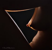 Eclipse / ***