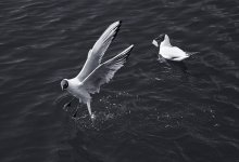 keine Zeit / ------------