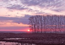 Morgen / .....