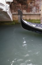 Brücke / ***