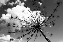 Wolken / ***