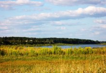 Sommer Öl / ***********